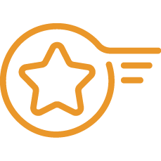 icon visi